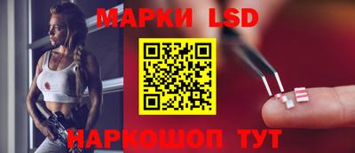гидра Камышлов