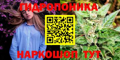 бошки Кандалакша