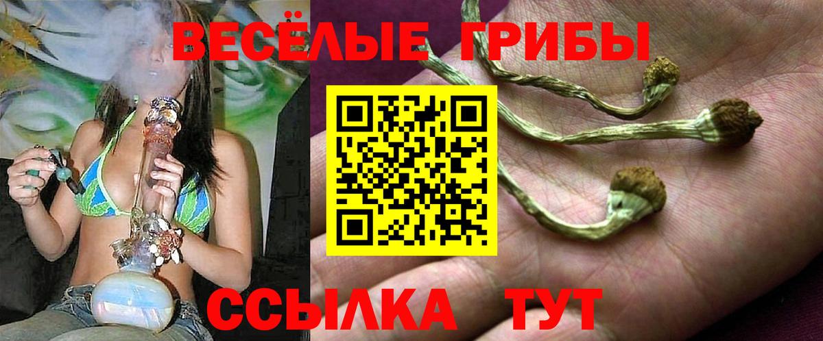 Крымск  Псилоцибиновые грибы GOLDEN TEACHER  Галлюциногенные грибы прущие грибы  Вход с VPN 
